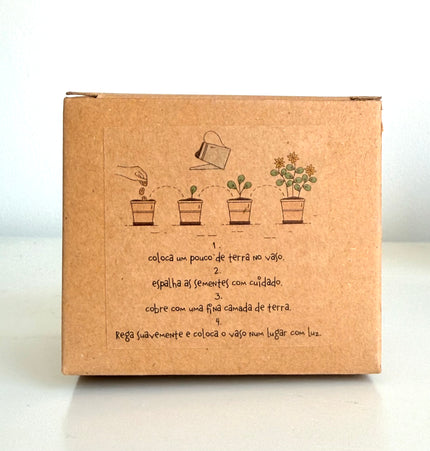 Kit sementes flores silvestres com vaso em cortiça