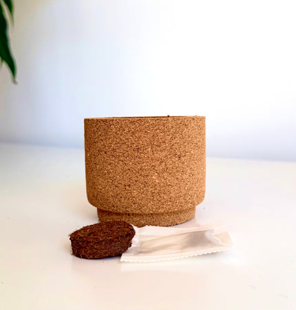 Vaso de cortiça com sementes de flores silvestres presente 