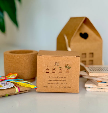 Presente com sementes para plantar simbolizando crescimento padrinhos