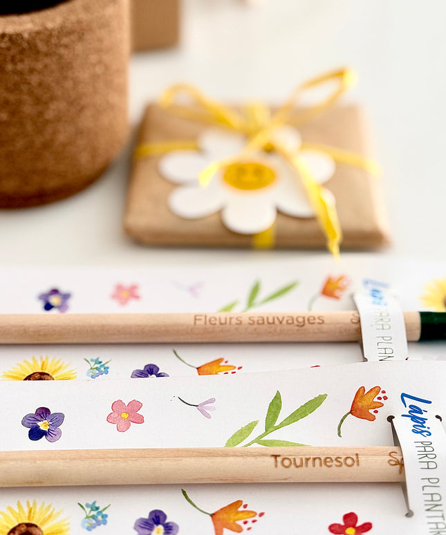 Kit presente artesanal para educadora