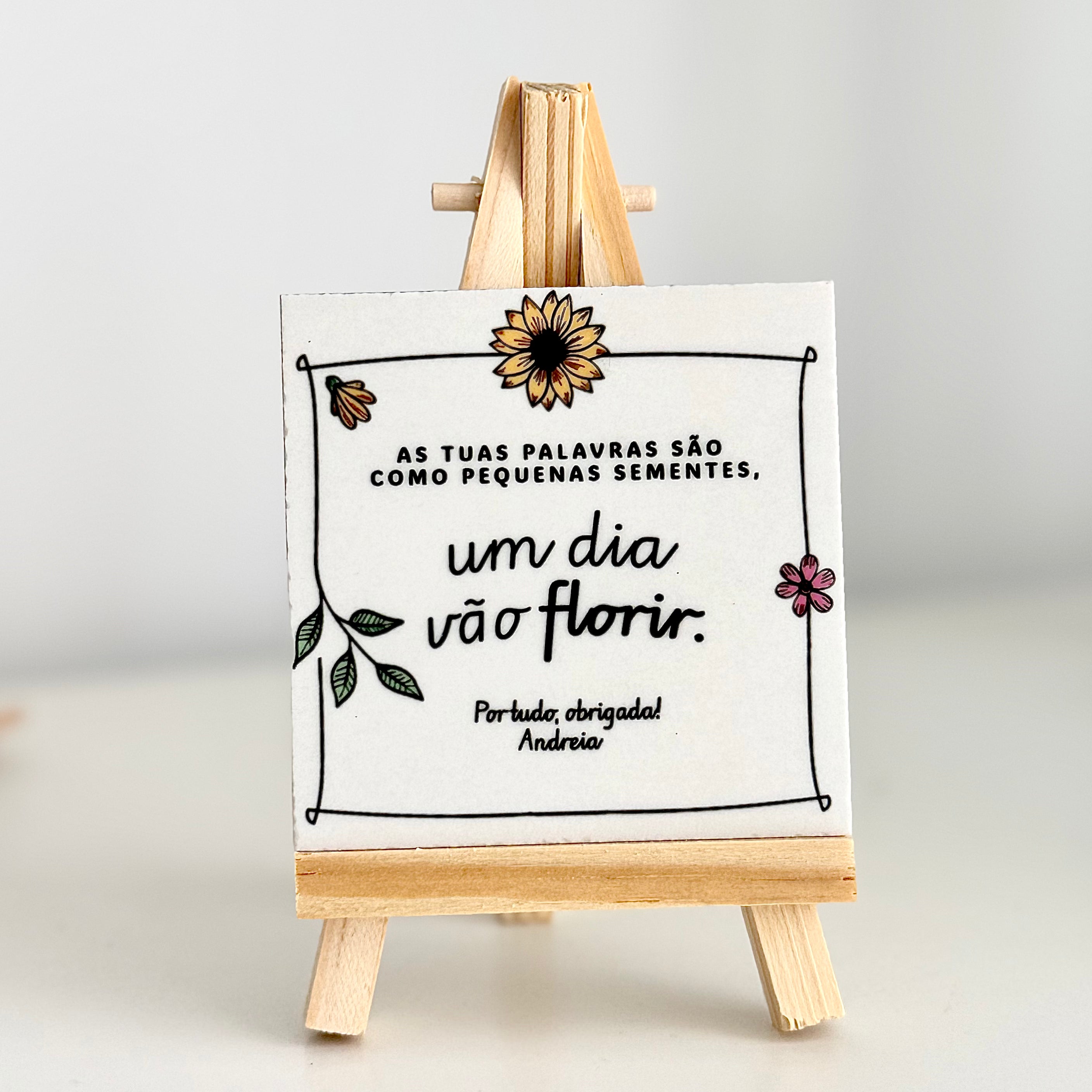 Kit completo com vaso de cortiça e embalagem em forma de casa