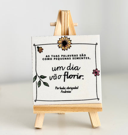 Kit completo com vaso de cortiça e embalagem em forma de casa